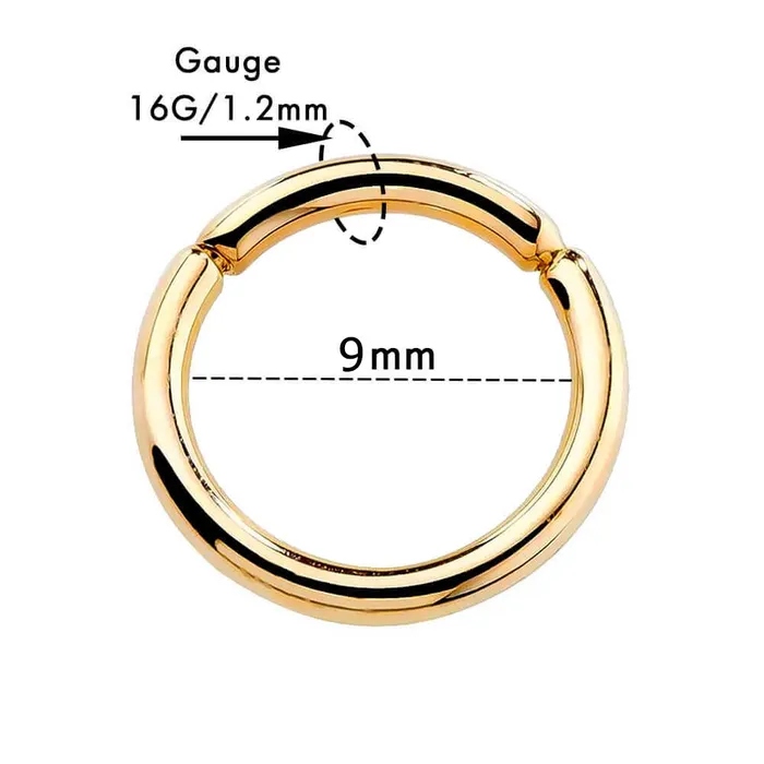 Earrings OUFER BODY JEWELRY 14K Gold Hinged Segment Hoop Cartilage Earring 16G Septum Ring Earrings OUFER BODY JEWELRY 14K Gold Hinged Segment Hoop Cartilage Earring 16G Septum Ring