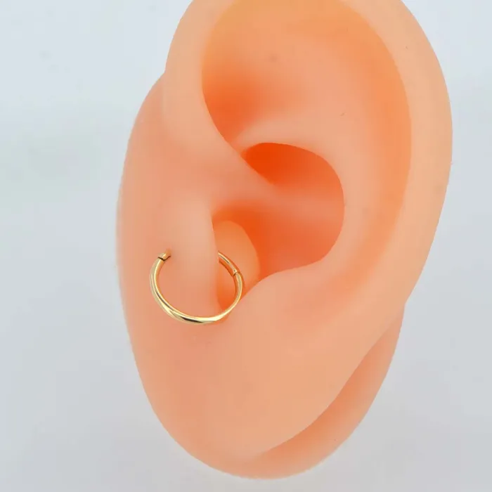 Earrings OUFER BODY JEWELRY 14K Gold Hinged Segment Hoop Cartilage Earring 16G Septum Ring Earrings OUFER BODY JEWELRY 14K Gold Hinged Segment Hoop Cartilage Earring 16G Septum Ring