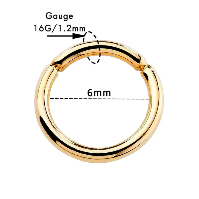 Earrings OUFER BODY JEWELRY 14K Gold Hinged Segment Hoop Cartilage Earring 16G Septum Ring Earrings OUFER BODY JEWELRY 14K Gold Hinged Segment Hoop Cartilage Earring 16G Septum Ring