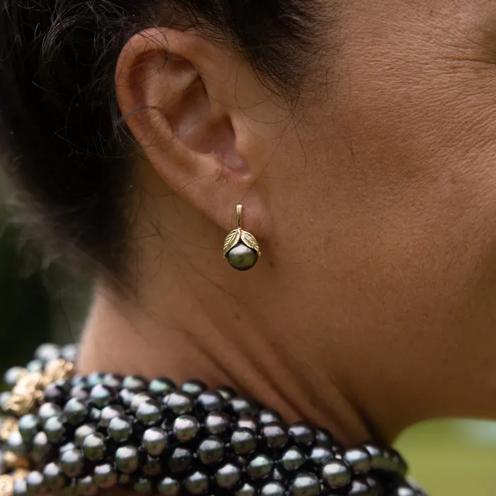 Maui Divers Jewelry Earrings Maile Tahitian Black Pearl Earrings in Gold 910mm Maui Divers Jewelry Earrings Maile Tahitian Black Pearl Earrings in Gold 910mm
